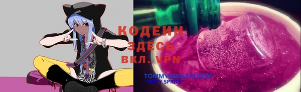 эйфоретик Белокуриха