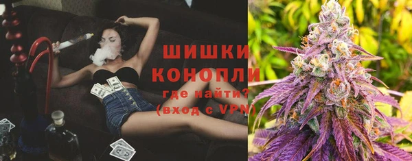 шишки Богородск