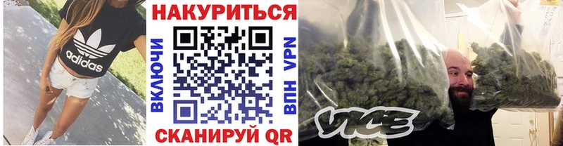 Марихуана план  Бирюч 